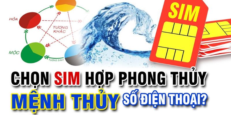 Bói sim phong thủy hợp mệnh Thủy bằng cách nào?