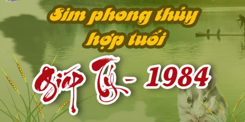 Hiểu được vận mệnh về tuổi sẽ chọn được sim số phù hợp và hợp mệnh nhất
