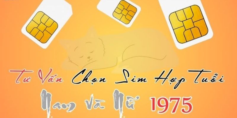 Mua sim sinh năm 1975