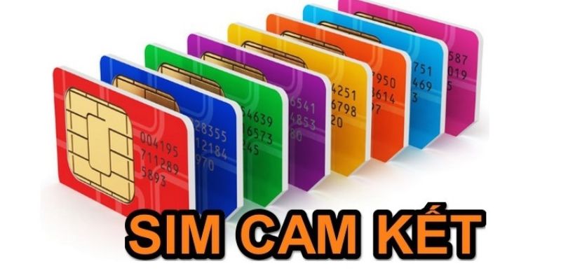 Sim cam kết mang tới rất nhiều lợi ích tới người dùng