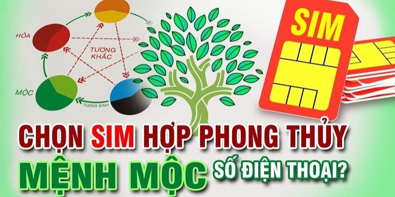 Sim hợp mệnh Mộc đảm bảo có sự hài hòa âm dương