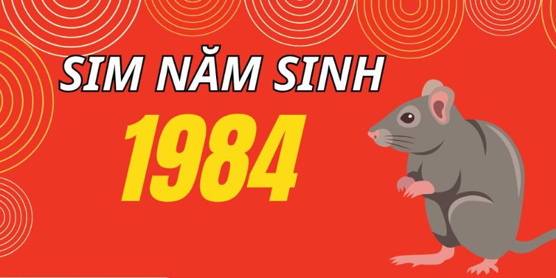 Sim năm sinh 1984 như một lá bùa may mắn cho tuổi Giáp Tý