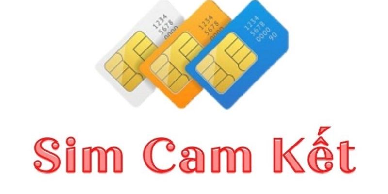 Tìm hiểu sim cam kết là gì?