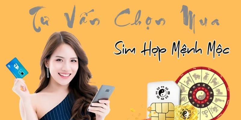 Tư vấn chọn sim hợp mệnh Mộc chất lượng