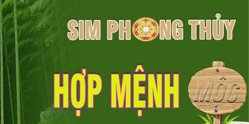 Yếu tố ngũ hành đặc biệt quan trọng khi chọn sim hợp mệnh Mộc